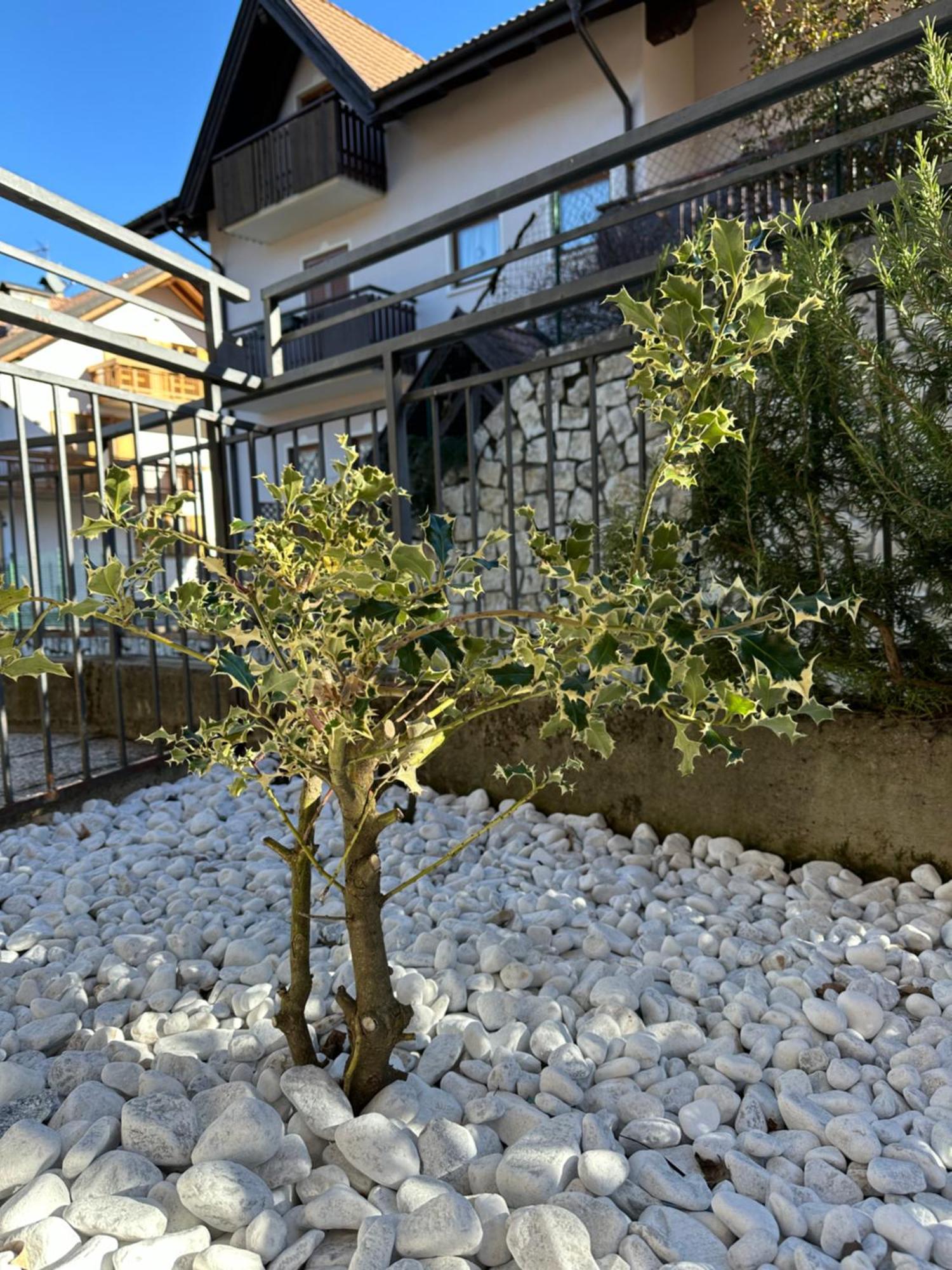 Casa Vacanza La Croseta Trento Esterno foto